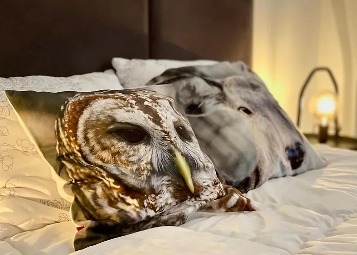 Sunrise Apartament Lublin